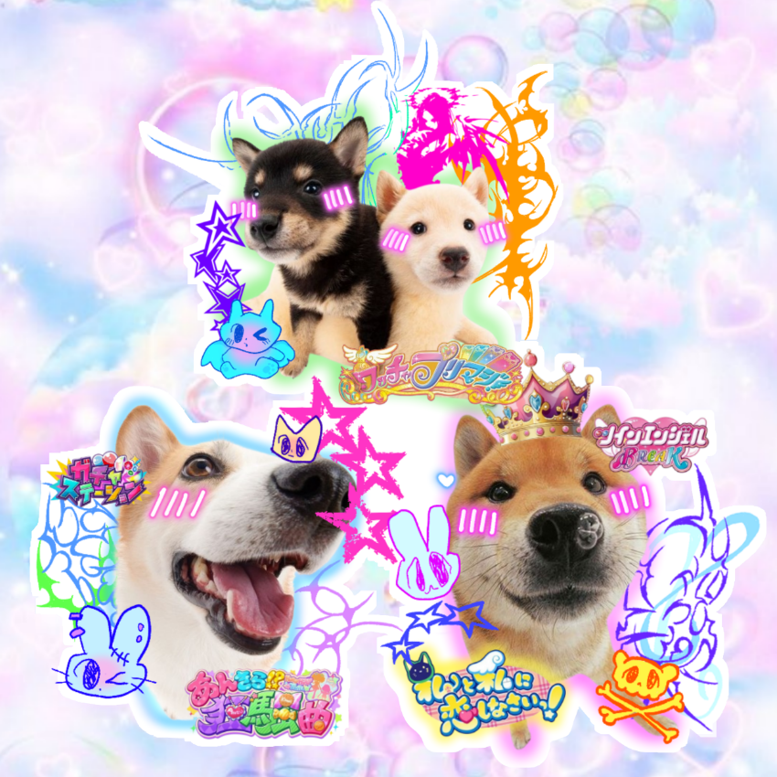 epic dog š¶